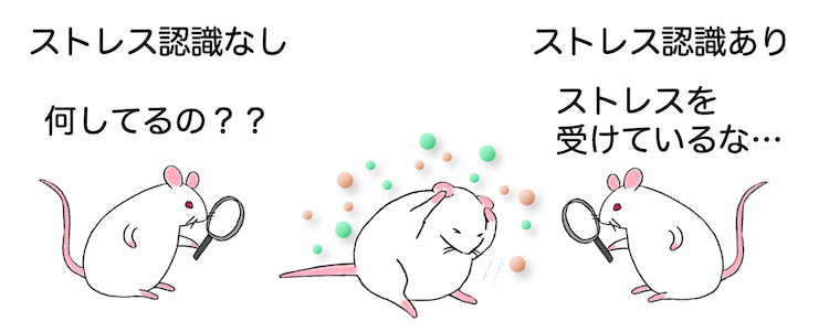 警報フェロモンの社会行動