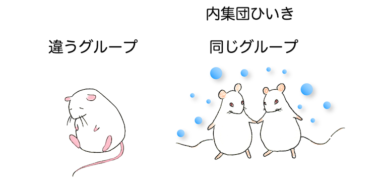 安寧フェロモンの社会行動